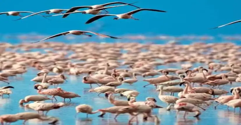 Lake Eyasi