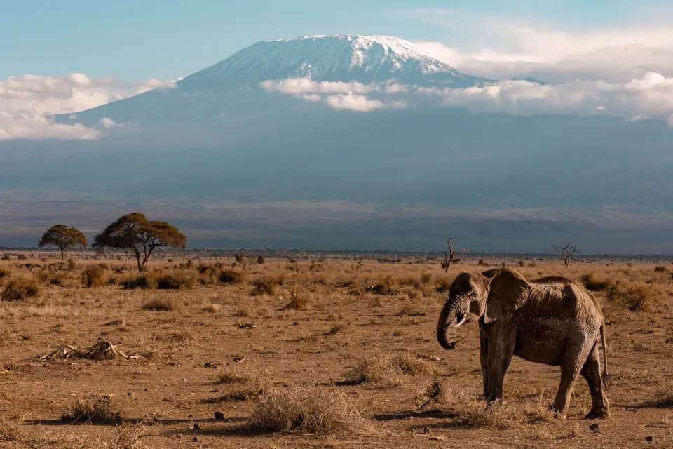Mount Kilimanjaro National Park
