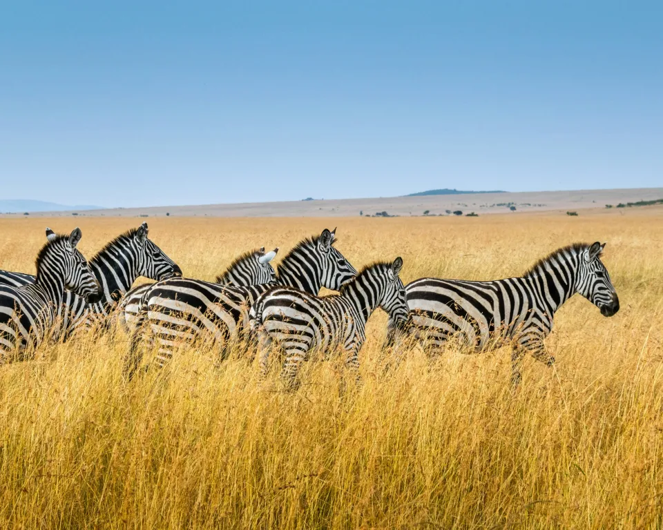 Serengeti National Park