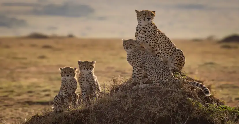 Serengeti National Park