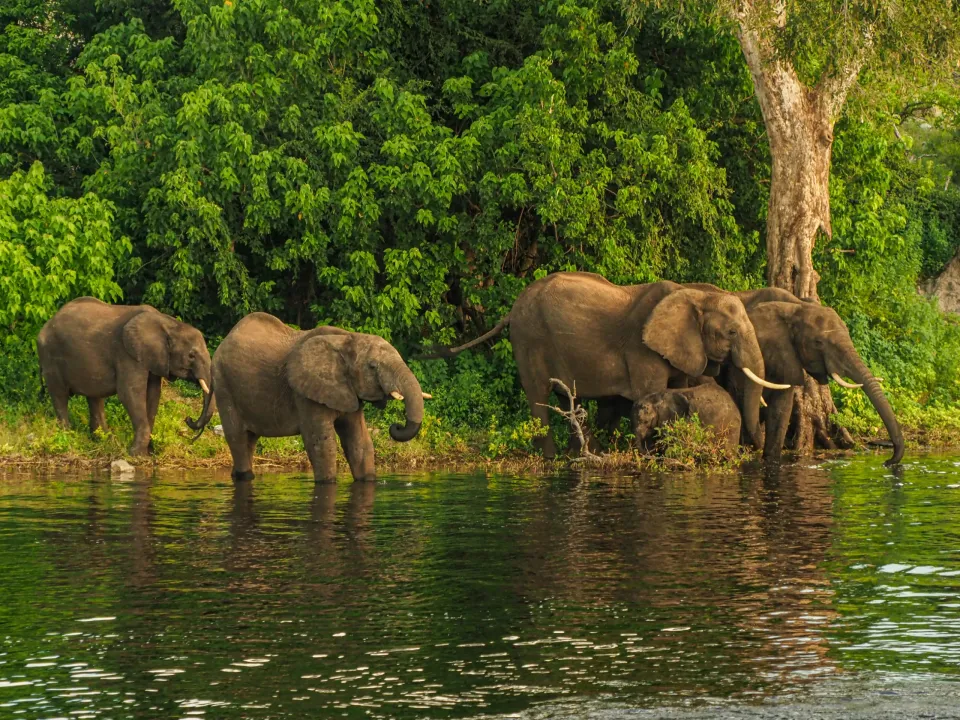 Lake Manyara National Park