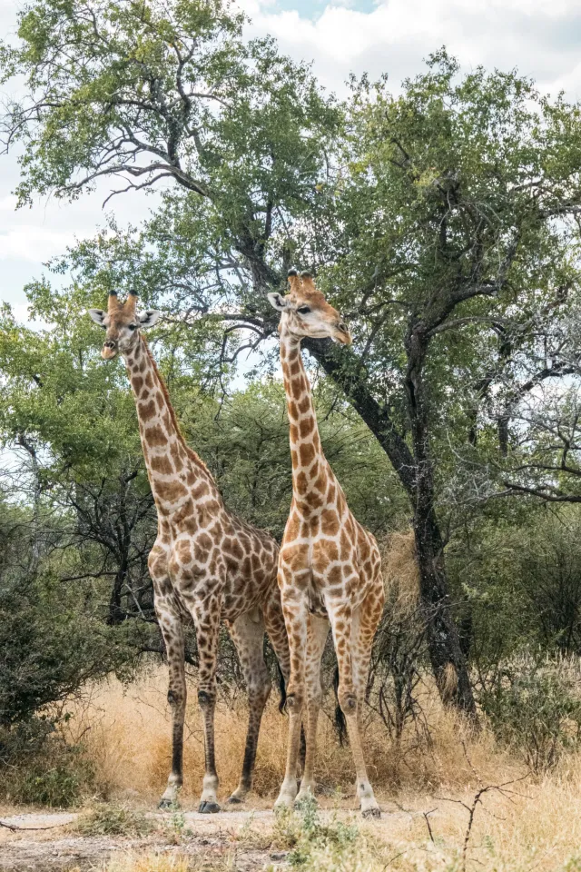 Arusha National Park