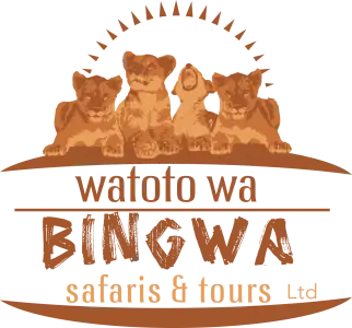 logo-img