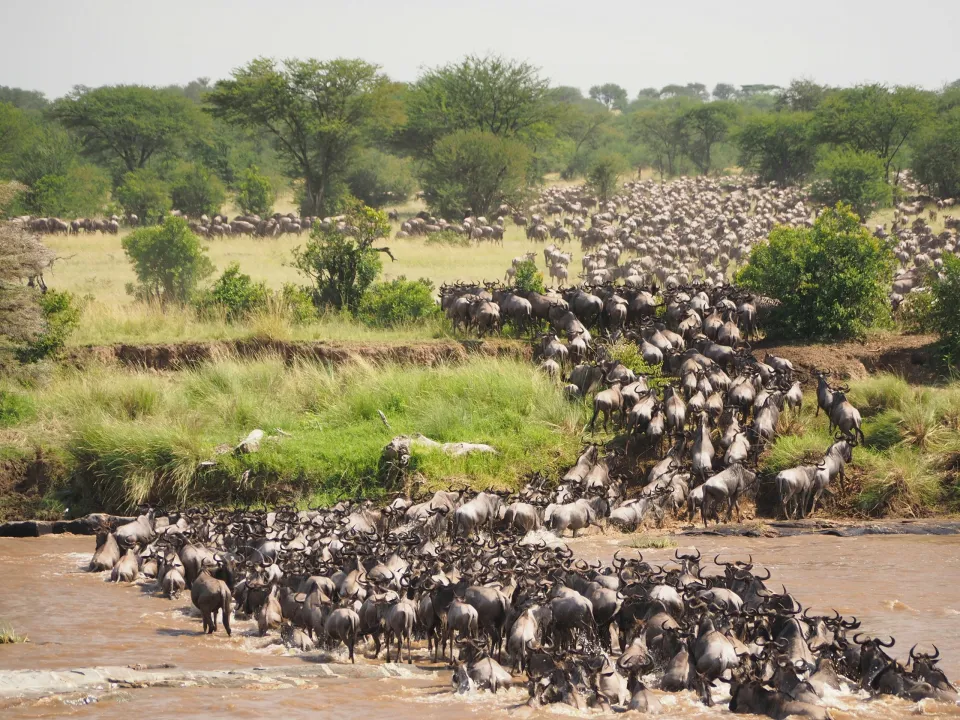8 Days Tanzania Safari 2