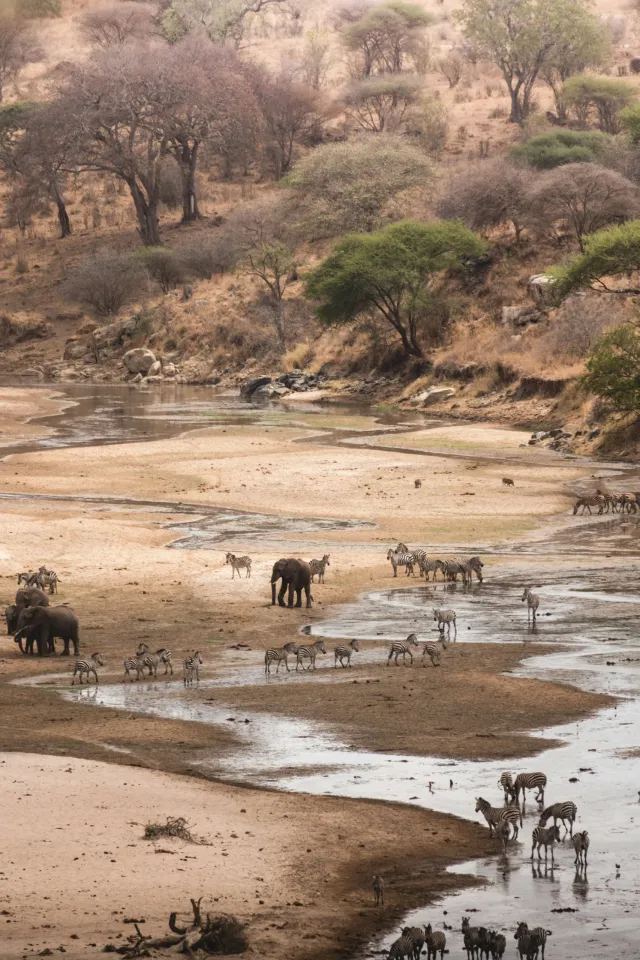 8 Days Tanzania Safari 1