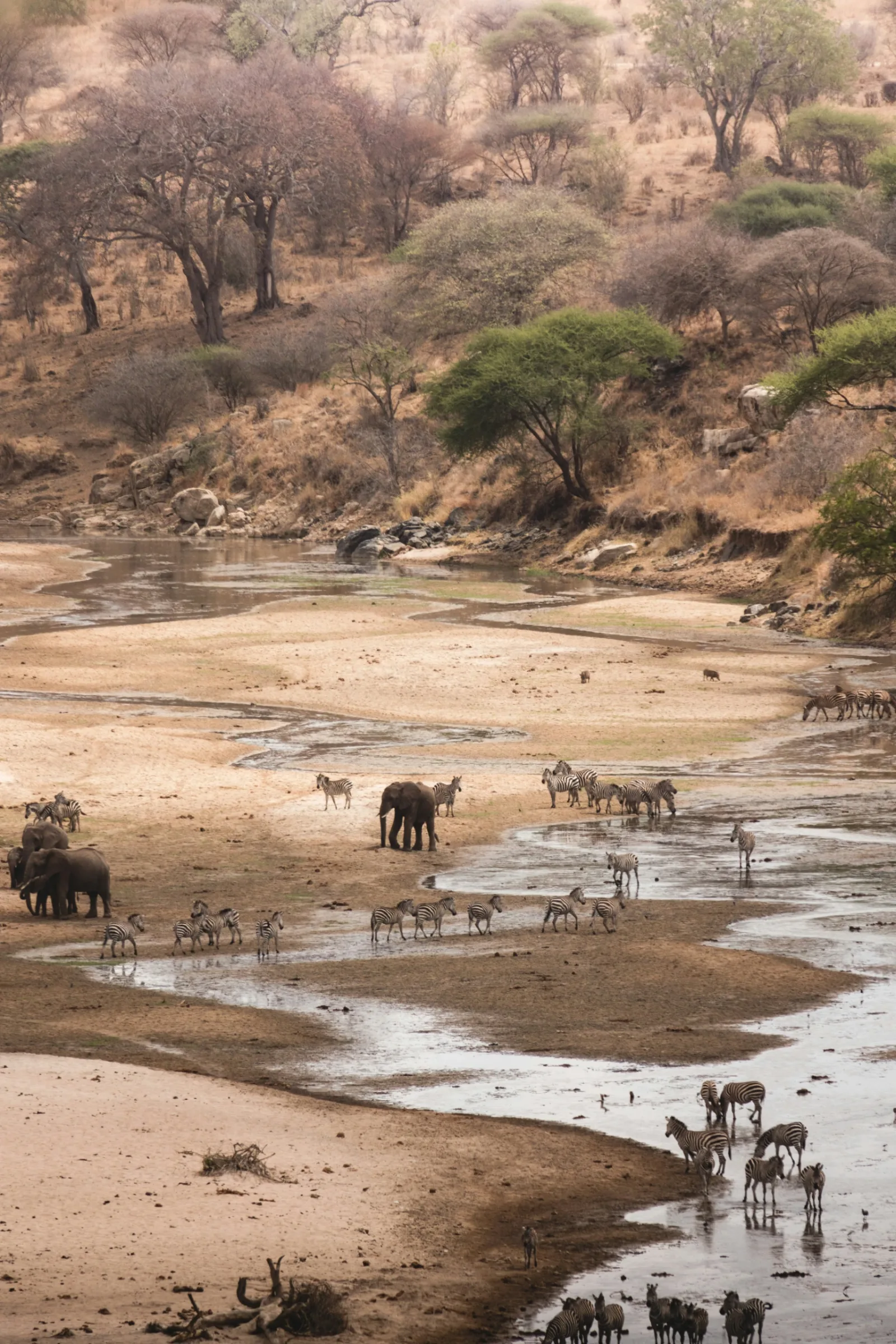 8 Days Tanzania Safari