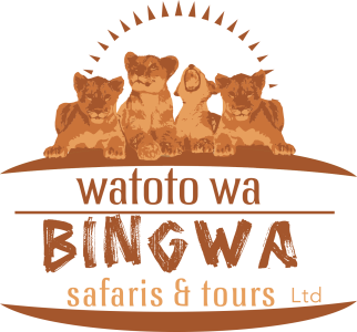 watoto wa Bingwa_Logo